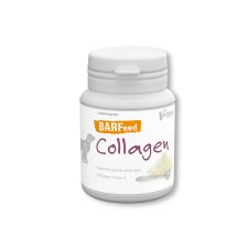 Regis Barf Collagen preparat na stawy