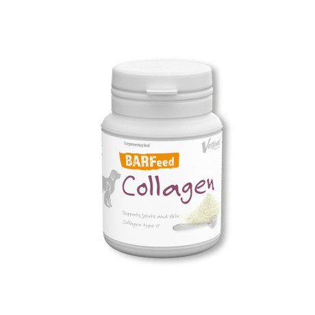 Regis Barf Collagen preparat na stawy